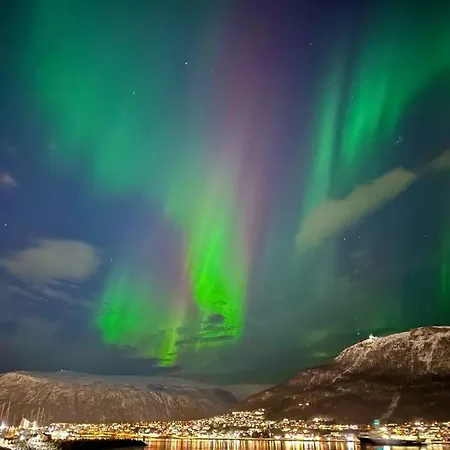 Ved Havet Med Utsikt Over Tromsøysundet. Leilighet Tromsø